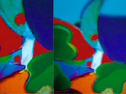 bosquepapitomejicoljpg